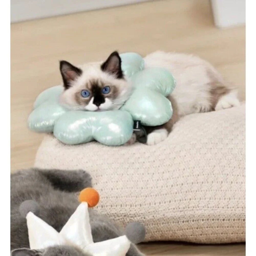 Cat Cone Collar Soft, Protective Cat Dog Recovery Collar to Stop Licking Large